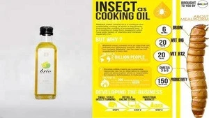 mealworms oil insect oil fish oil