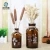 Import Medical Transparent reagent amber glass bottle from China