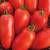 Import Mexico Grown Fresh Red Tomato Roma Robinson Fresh MOQ 10 pieces Quick Delivery in US from USA