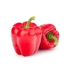 Mexico Grown Red Bell Pepper Vegetable Robinson Fresh MOQ 22-26 COUNT Quick Delivery in US