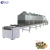 Import Microwave soya bean roasting machine Baking curing equipment from China