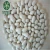 Import Mini Haijun Snow White Kidney Alubia Beans Poland from China