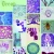 Import Mitosis of animal sec. prepared microscope slides from China