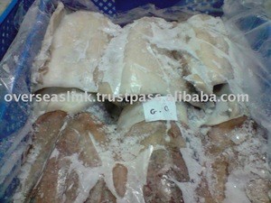 Morocco High Quality FDA &amp; HACCP Block Frozen Cuttlefish