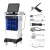 Import Multi-Functional Beauty Equipment Skin Care Facial Beauty Machine 11 In 1 from China