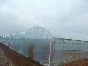 Multi-span plastic film greenhouse for agriculture