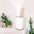 Import New Home Appliances Air Conditioning Appliances Portable Ultrasonic Humidifier Aromatherapy Air Humidifier from China