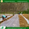 New products prevent weeds biodegradable black plastic mulch