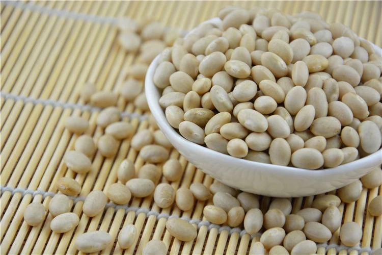Non-Gmo Small Red Beans White Kidney Bean Price
