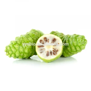 Noni Enzyme supplement OEM anti-cancer