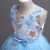 Import oem high quality kids summer clothing princess party  dress little girl boutique dress from China