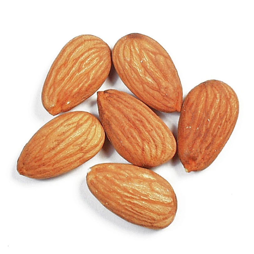 Organic raw almond in shell nuts Organic badam almond nuts Wholesale bulk badam nut for sale