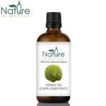 Organic Yangu Oil | Cape Chestnut Oil | Yangu Seed Oil - Pure and Natural Cold Pressed Carrier Oils - Wholesale Bulk Price