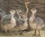 Import Ostrich Chicks Red and Black neck Ostrich for saleLive Ostrich Birds AVAILABLE from South Africa