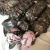 Import Outdoor Bionic hunting camouflage hats baseball caps camouflage fabrics from China