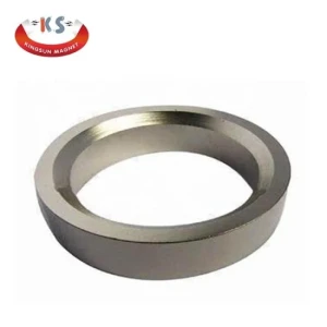 Permanent Magnets Industrial N52 Neodymium Magnet Big Ring Neodymium Magnetic Ring