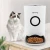 Import Pet Slow Feeder Cat Button Control 4 Meals Per Day Voice Record Automatic Dog Feeder from China