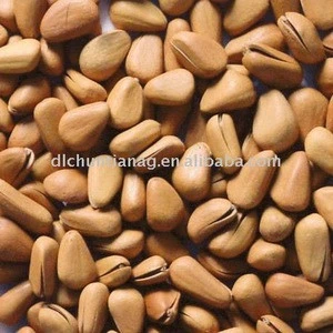 Pine nut kernel