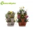 Import Plastic garden planter hanging basket wholesale from China