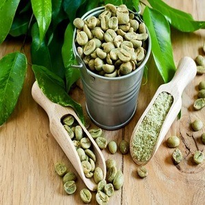 Premium Green Bean Robusta Coffee