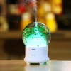 preserved fresh flower essential oil aroma diffuser ultrasonic  humidifier with 7 colors led light changing