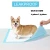 Import Private Label 7 Layere Puppy Training Pet Urine Diaper Disposable Dog Pee Pad from China