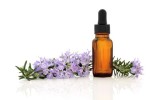 Private Label Therapeutic Organic Rosemary Essential Oil Customized Label OEM/ODM Aromatherapy Organic Rosemary Oil 100% Pure