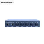 Professional Class D Digital Audio Power Microphone Amplifier