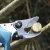 Import Professional Electric Shrub And Hedge Trimmer Garden Scissors Pruning Shears from China