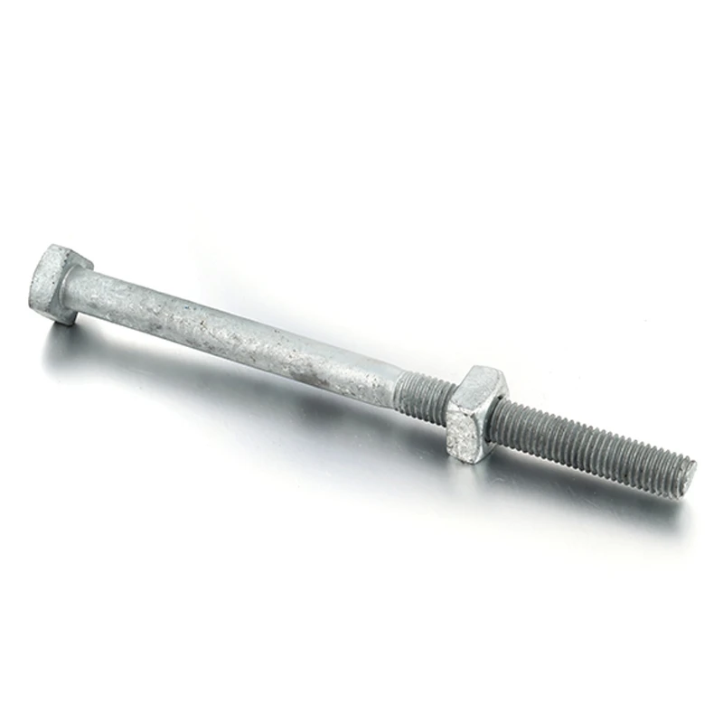 Professional steel customized galvanized bolt and nut