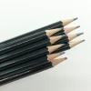 professional wood  drawing sketch  pencils for painter