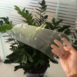 Professionally Bending processing plastic product of PVC PET PC acrylic sheet