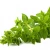 Import Promote animal growth and digestion oregano oil extract from China
