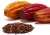 Import Puratos Grand-Place Vietnam Cocoa Waste Cocoa Shells And Husk from Vietnam