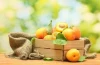 Quality Fresh Apricot, Organic Fresh Apricot, Fresh Apricot Fruit Supplier