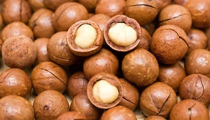 Quality Macadamia Nut