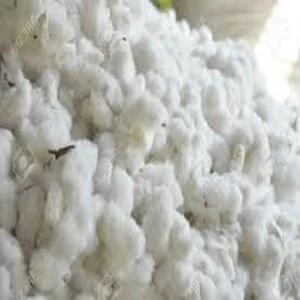 Raw cotton / Cotton Yarn / Cotton Fiber for sale