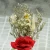 Import Red Graceful Preserved Roses 100% Natural Fresh Dried Flower Stabilized In Glass from China