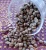 Import Robusta Java Coffe Beans from China