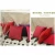 Import RTS sofa cushion covers luxury velvet cushion cover home decor pillow plain cushions from China