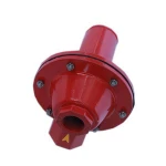 RTZ-*/0.4/0.6/F(L)XXRAF Series Gas Pipe Network Liquefied Petroleum High Adjustable Precision Gas Safety Valve