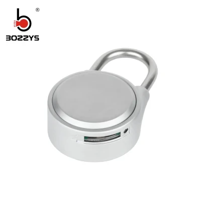 Safety Electric Smart Bluetooth Keyless Door Padlock (M1)