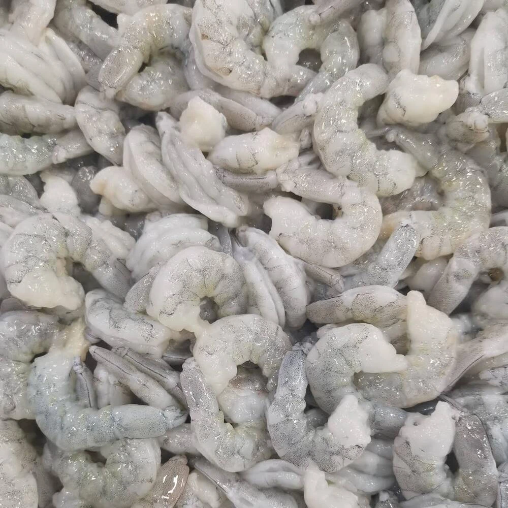 Sea Food Shrimp Frozen from Thailand