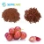 Import Sephcare natural pigment anthocyanin 95% in grape seed extract from China