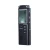 Import SK-301 8GB 1536Kbps Audio Voice Recorder MP3 Music Player Dictaphone Voice Activate(VAR) A-B Repeating Telephone Conversation Re from China