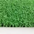 Import Sports Turf Customizable Green Training Golf Artificial Grass from China