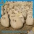 Import stone garden products landscaping stone boulder from China