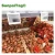 Import Sunpaitag e ink display shelf price label price tag display supermarket price label from China