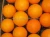 Import super quality citrus fruit / EGYPT from Egypt