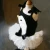 Import Swan Innovative products dog clothes dress luxury dog clothes  dog wedding dress pet cat from China